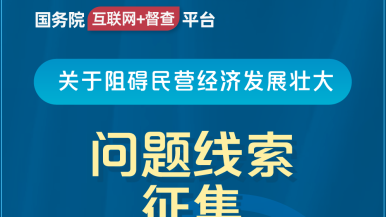 日嫩逼P国务院“互联网+督查”平台公开征集阻碍民营经济发展壮大问题线索